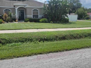 Elizabeth e.'s lawn service service result