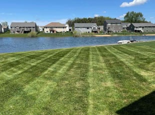 Nikole S.'s grass cutting service result