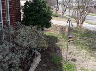 Lori W.'s Bush Trimming service result