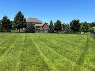 Marjorie M.'s grass maintenance service result
