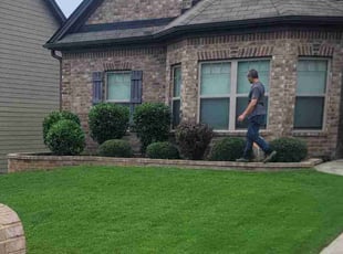 John S.'s Bush Trimming service result