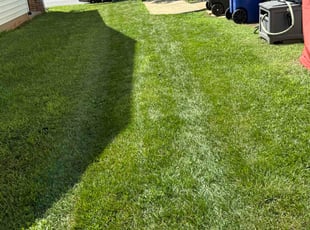 Kathy H.'s turf maintenance service result
