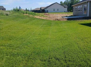 Janet G.'s turf maintenance service result
