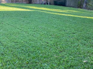 Jeremy P.'s turf maintenance service result