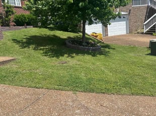 Maya T.'s lawn care services service result