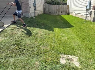 Bill B.'s turf care service result