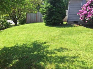 Michael K.'s grass maintenance service result