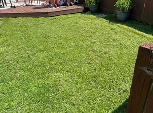Debbie F.'s lawn maintenance service result