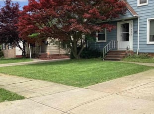 Marianna O.'s lawn care service result