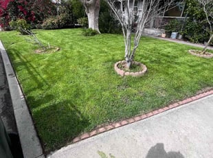 Katharine B.'s lawn maintenance service result