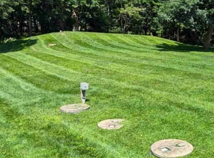 Erik M.'s turf care service result