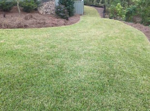 Michael O.'s grass cutting service result