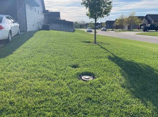 Dusty M.'s lawn care services service result