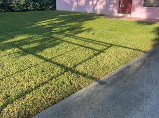 Miguel P.'s turf care service result