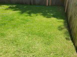 Mr P.'s lawn care service result