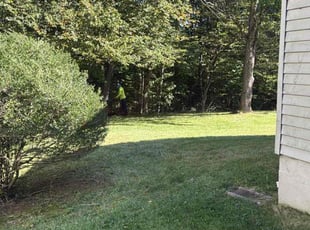 Vince M.'s Bush Trimming service result