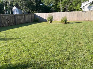Meglyn D.'s turf care service result