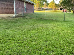 Quintara J.'s lawn maintenance service result