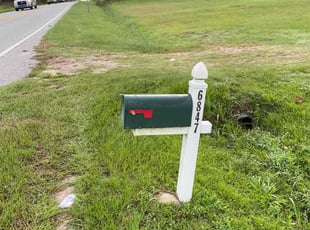 Charmaine C.'s lawn service service result