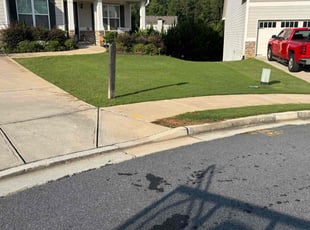 Nikki-Lee P.'s lawn care services service result