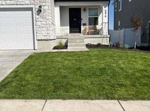 Ann K.'s lawn care services service result