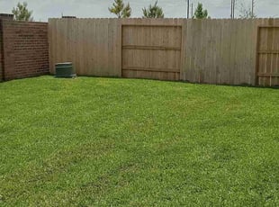 Corey S.'s grass maintenance service result