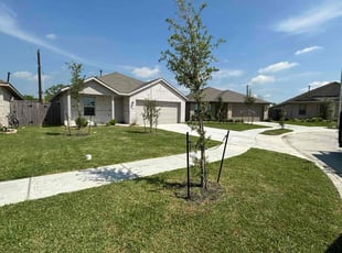 John S.'s lawn care service result