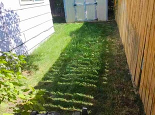 Mary N.'s grass cutting service result