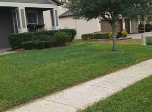 James D.'s turf care service result