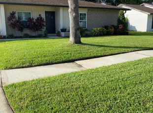 David T.'s lawn service service result