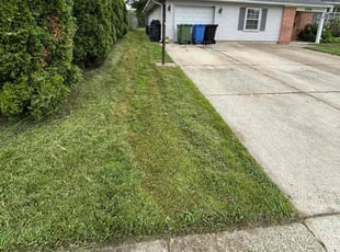 Zaid V.'s lawn maintenance service result