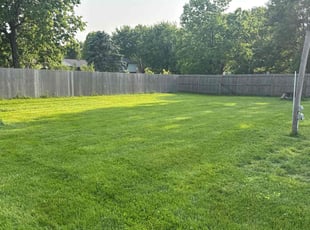 Dana C.'s lawn service service result