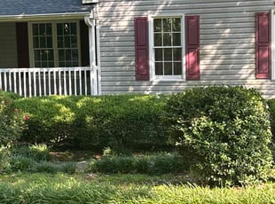 Kim S.'s Bush Trimming service result