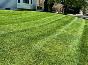 Steve C.'s lawn service service result