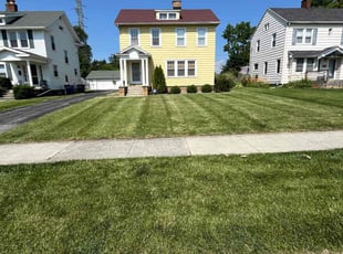 Brenda M.'s turf maintenance service result