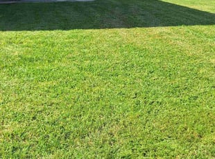 Peter J.'s lawn care service result