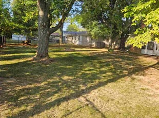 Ginnie D.'s grass maintenance service result