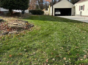 Ronald G.'s lawn maintenance service result