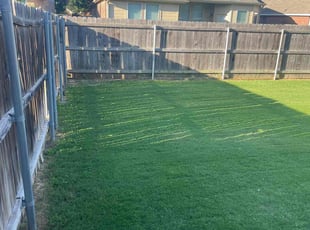 Victoria W.'s grass maintenance service result