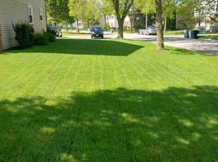 Alan B.'s grass maintenance service result