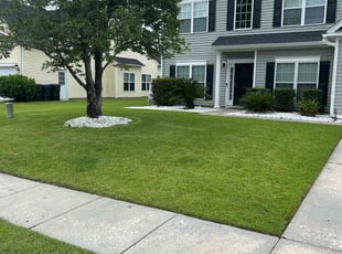 Johnetta E.'s lawn maintenance service result