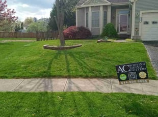 Patti G.'s turf care service result