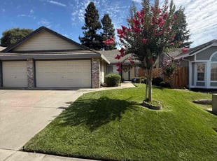Mia P.'s yard service service result