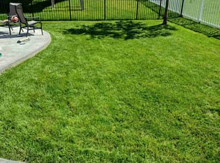 Kelsey S.'s grass cutting service result