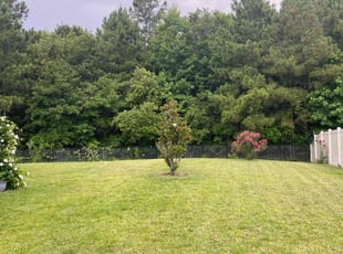 Summer R.'s turf care service result