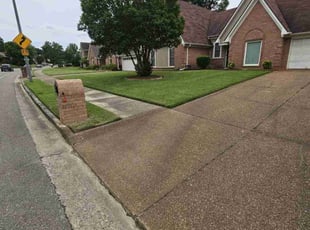 Bridgit W.'s yard care service result