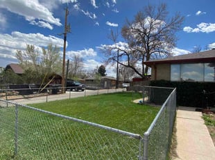 Lauren B.'s lawn care service result
