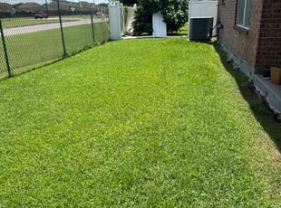 Jordan G.'s yard maintenance service result