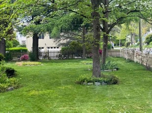 Stephano J.'s turf care service result