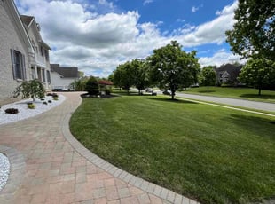 Sandra A.'s turf maintenance service result